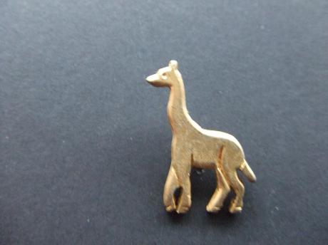 Giraf langnek goudkleurig